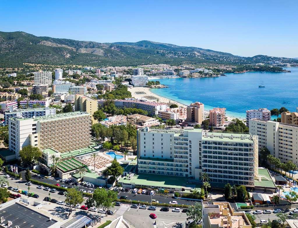Sol Palmanova Mallorca Εξωτερικό φωτογραφία
